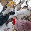 Помощь пернатым друзьям