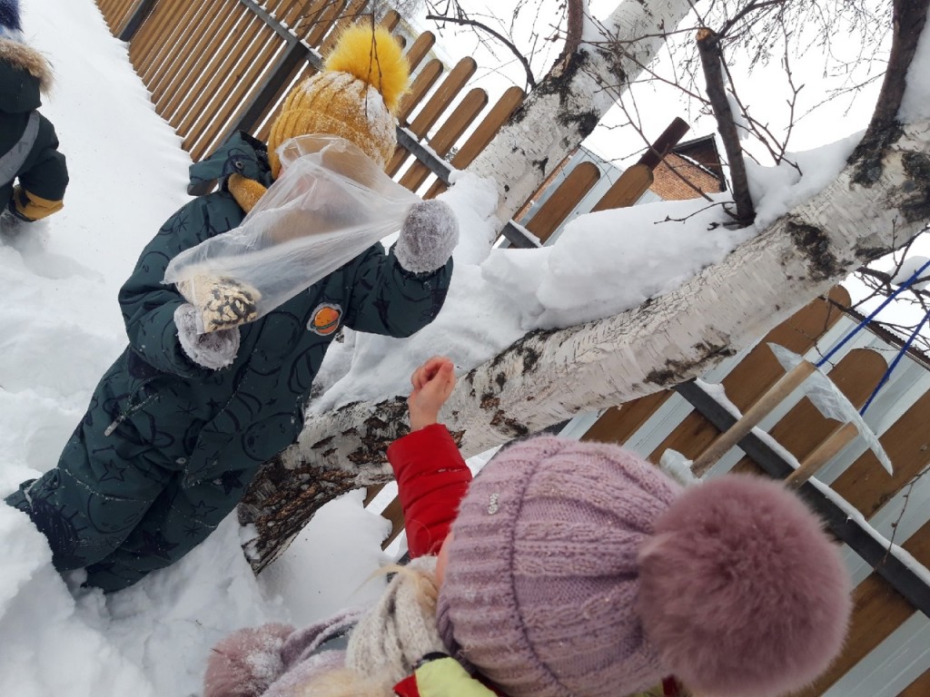 Помощь пернатым друзьям 1